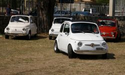 MG